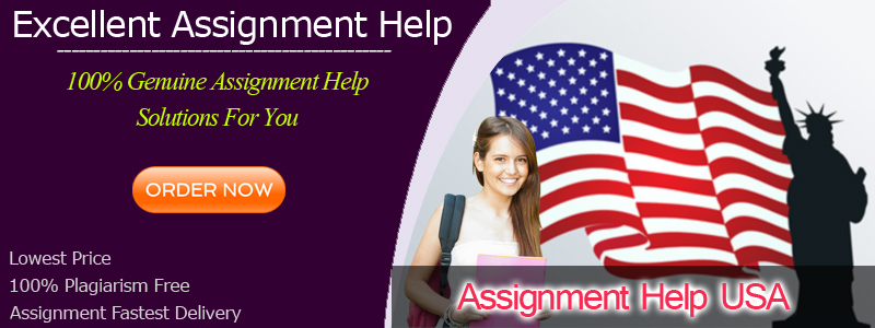 Assignment Help USA