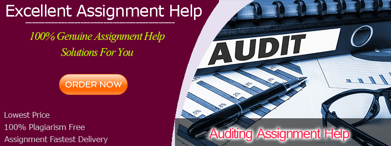 Auditing Assignment Help